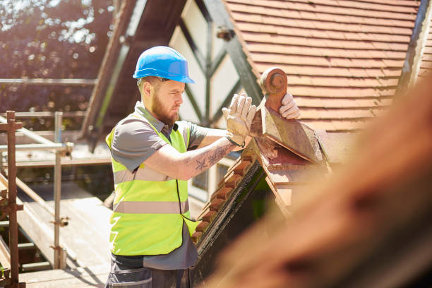 Best Roof Gutter Cleaning  in Galva, IL